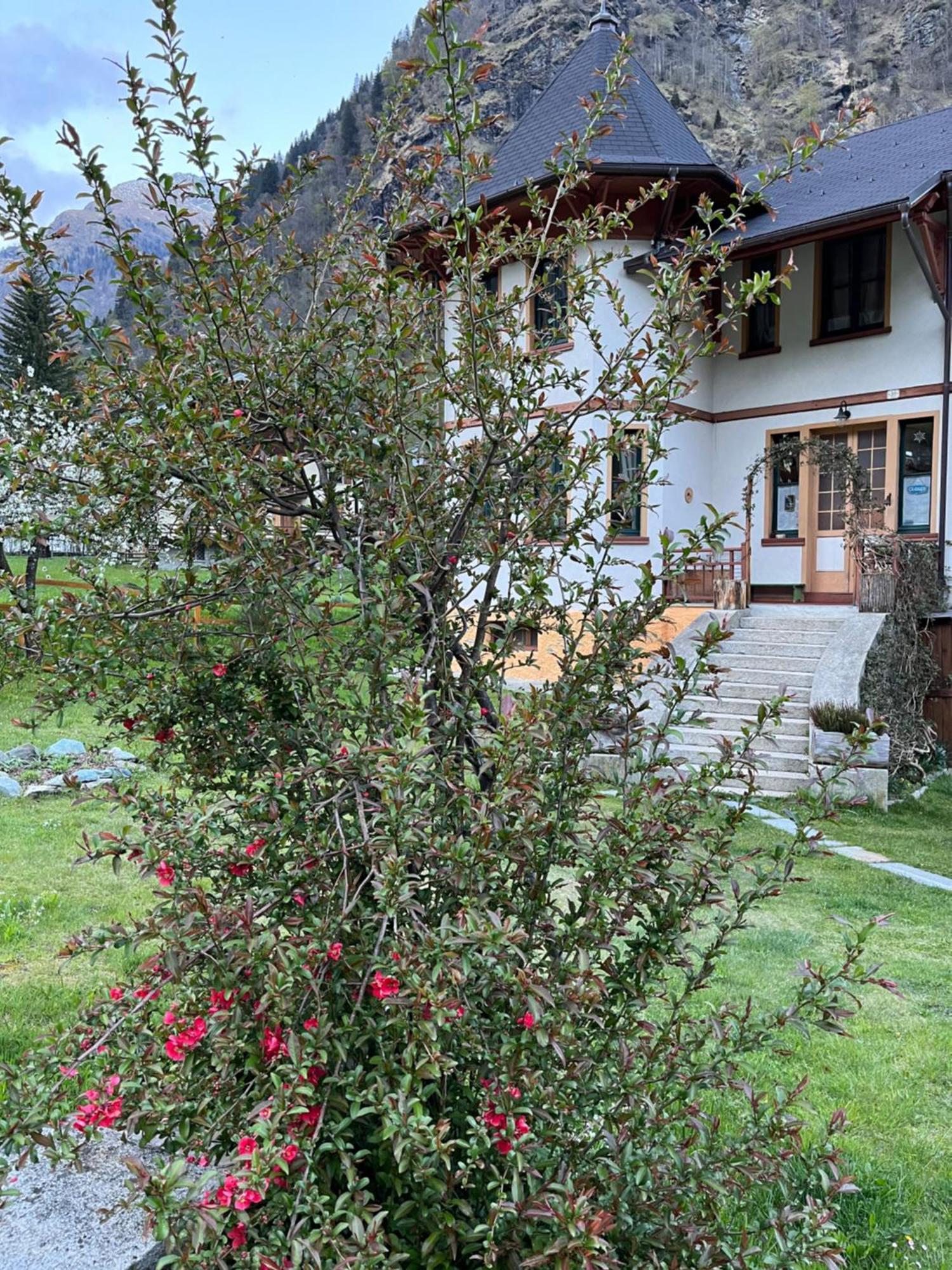 Bed and Breakfast L'Aria Di Casa Аланья-Вальсезия Экстерьер фото